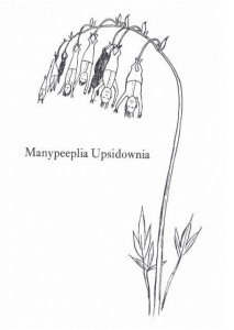 KARNET B6 Z KOPERTĄ MANYPEEPLIA UPSIDOWNIA