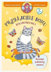 MAGICZNY KUFEREK WRÓŻKI EMMY. PRZYJACIELE DOMU