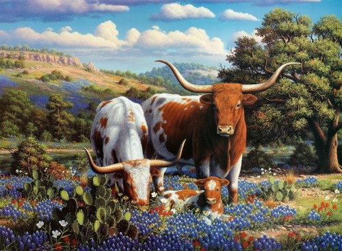 Puzzle 2D: Krowy długorogie 500el, Ravensburger