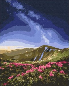 MALOWANIE PO NUMERACH - CZARNA GÓRA 40X50CM