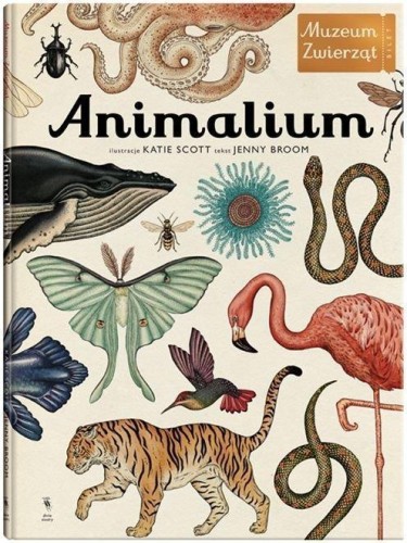 Animalium wyd.3, Jenny Broom, Katie Scott