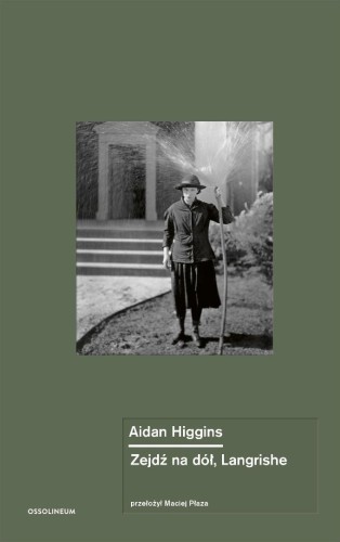 Zejdź na dół, Langrishe, Aidan Higgins