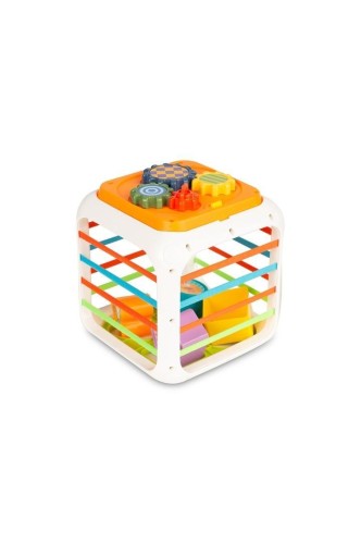 Sorter kostka, Toyz