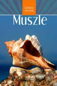 SPOTKANIA Z PRZYRODĄ. MUSZLE, PRACA ZBIOROWA