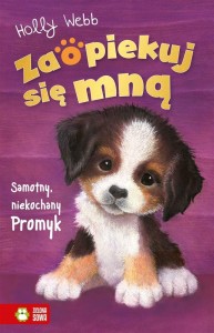 ZAOPIEKUJ SIĘ MNĄ. SAMOTNY, NIEKOCHANY PROMYK