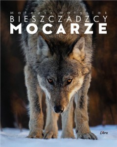 ALBUM BIESZCZADZCY MOCARZE - WILK