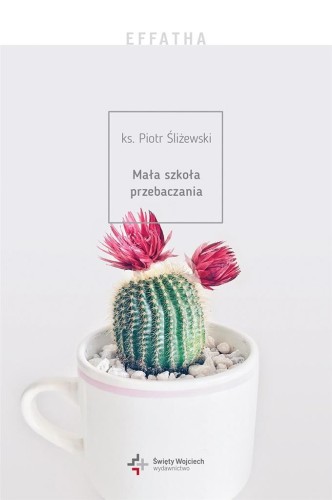 Effatha. Mała szkoła przebaczania, Piotr Śliżewski