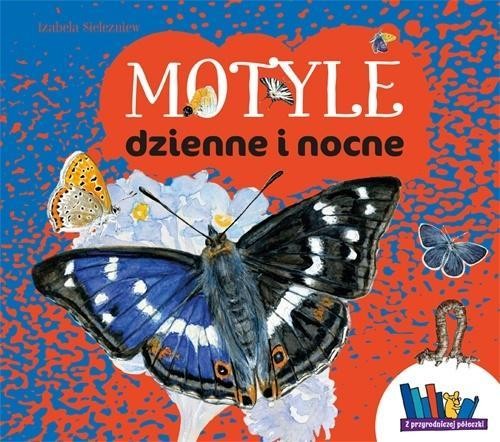 Motyle dzienne i nocne, Izabela Sielezniew