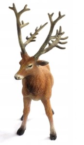 JELEŃ PERE DAVID'S, COLLECTA