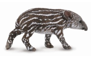 TAPIR CIELĘ BAIRDA, COLLECTA