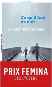 CE QU'IL FAUT DE NUIT, LAURENT PETITMANGIN