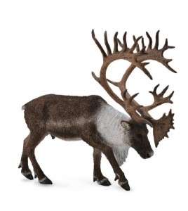 RENIFER WOODLAND CARIBOU, COLLECTA