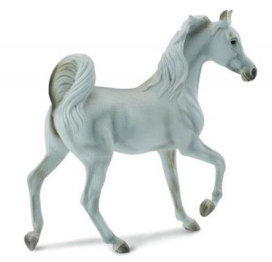 KLACZ RASY ARABSKIEJ MAŚCI SZAREJ, COLLECTA