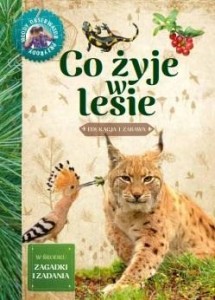 MŁODY OBSERWATOR PRZYRODY - CO ŻYJE W LESIE