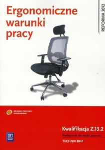 ERGONOMICZNE WARUNKI PRACY. KWALIFIKACJA Z.13.2