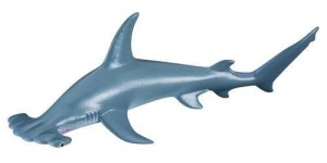 REKIN MŁOT, COLLECTA