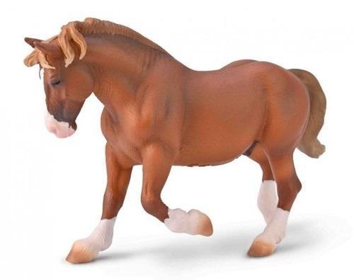 Ogier Bretoński maści kasztanowej, Collecta