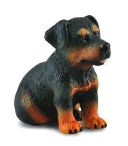 PIES ROTTWEILER SZCZENIAK, COLLECTA