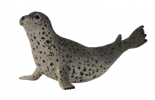Foka pstra, Collecta