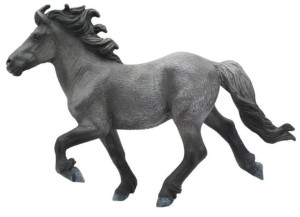 KOŃ BLUE DUN ICELANDIS STAILLION, COLLECTA