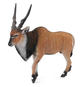 ANTYLOPA OLBRZYMIA ELAND, COLLECTA