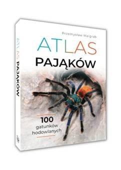 Atlas pająków, Przemysław Malgrab