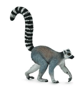 RING-TAILED LEMUR, COLLECTA
