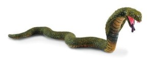KOBRA KRÓLEWSKA, COLLECTA