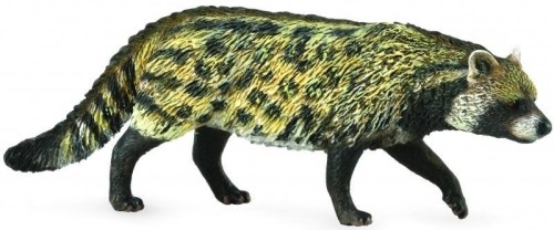 Kot Wiwera Civet African, Collecta