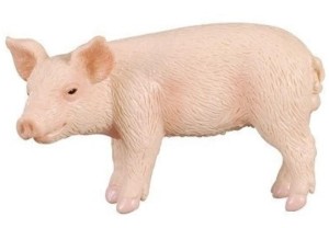 PROSIE STOJĄCE, COLLECTA