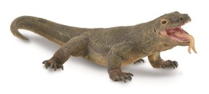 WARAN Z KOMODO, COLLECTA