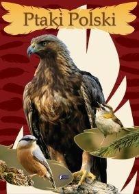 PTAKI POLSKI, PRACA ZBIOROWA