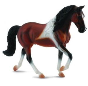 KLACZ RASY STALLION BAY PINTO SPACERUJĄCA