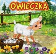 Owieczka JAFI, Kataryzna Campbell
