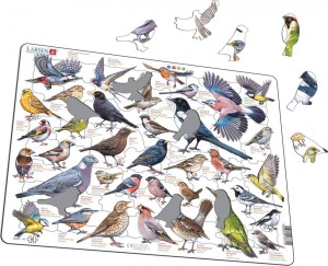 UKŁADANKA GARDEN BIRDS PTAKI OGRODOWE POLNE MAXI