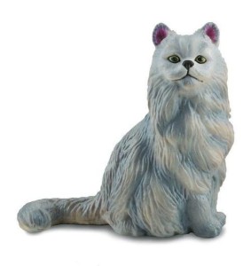 KOT PERSKI SIEDZĄCY, COLLECTA