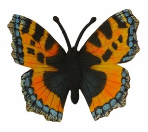MOTYL RUSAŁKA POKRZYWNIK, COLLECTA