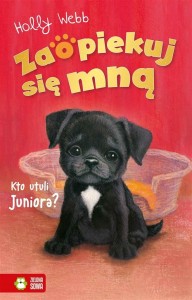 ZAOPIEKUJ SIĘ MNĄ. KTO UTULI JUNIORA?
