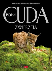 CUDA POLSKI. ZWIERZĘTA, ŁUKASZ PRZYBYŁOWICZ