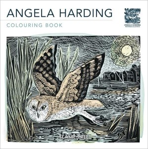 KOLOROWANKA ANGELA HARDING