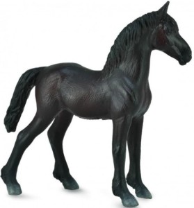 ŹREBIĘ FRIESIAN FOAL CZARNE, COLLECTA