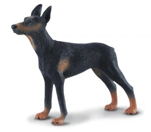 PIES DOBERMAN, COLLECTA