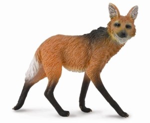 WILK GRZYWIASTY, COLLECTA