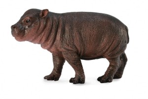 MŁODY HIPOPOTAM KARŁOWATY, COLLECTA