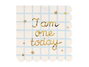 SERWETKI PAPIEROWE I AM ONE TODAY 33X33CM