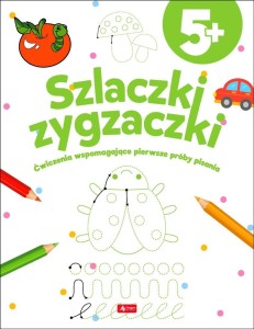 SZLACZKI ZYGZACZKI, PRACA ZBIOROWA