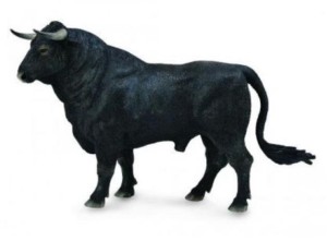 BYK HISZPAŃSKI STOJĄCY, COLLECTA