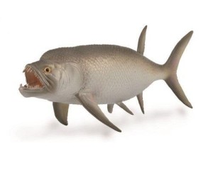 WYMARŁA RYBA XIPHACTINUS, COLLECTA