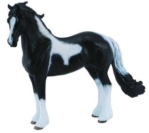 Ogier rasy Barock Pinto, Collecta