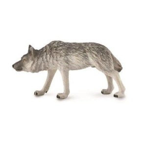 LEŚNY WILK POLUJĄCY, COLLECTA